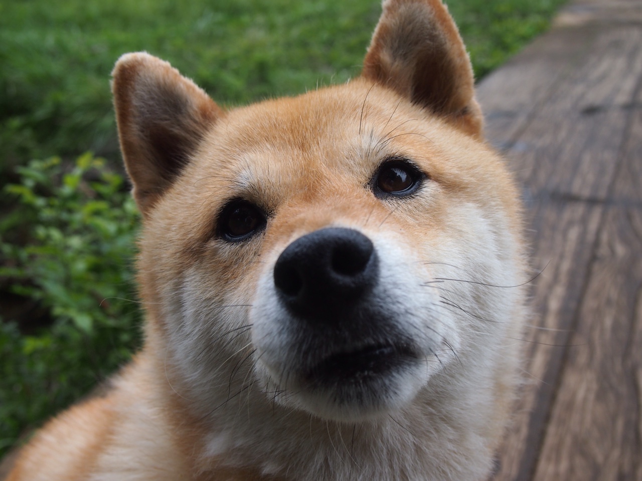 kaiyun体育综合-乡村田径运动会,乡土之趣激发青少年热情,乡村运动场