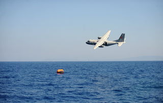 开云体育平台-自由泳收官关键 澳队冲线占先,澳大利亚自由泳接力