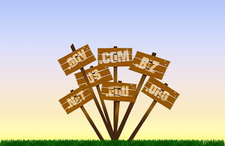 开云体育官网登入-足球产业扶持政策分布区域不均衡,足球产业占体育产业比重