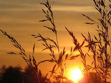 开云官网首页-VALORANT 选手竞技状态持续火爆，valorant战绩